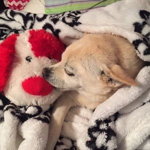 Meet your Posher, Vickie